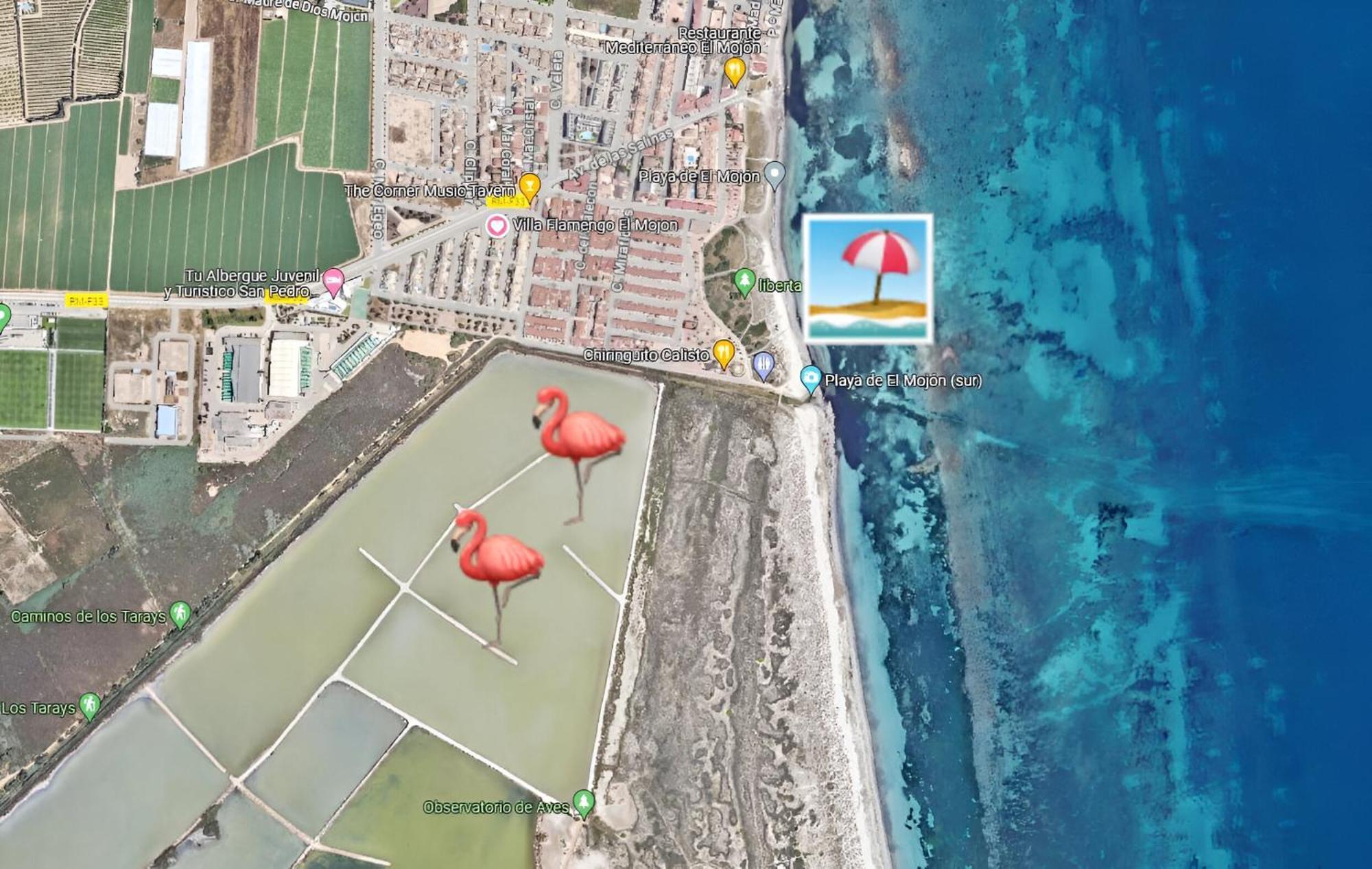 Flamingo Vila Alicante San Pedro del Pinatar Exterior foto